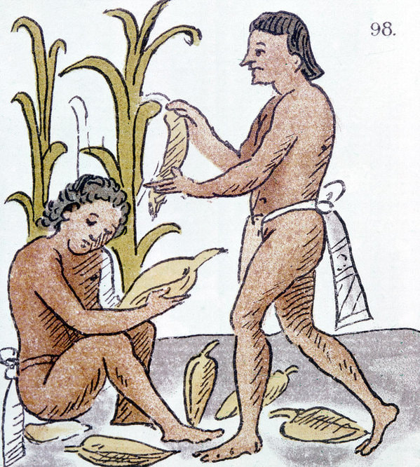 Aztec Farmer