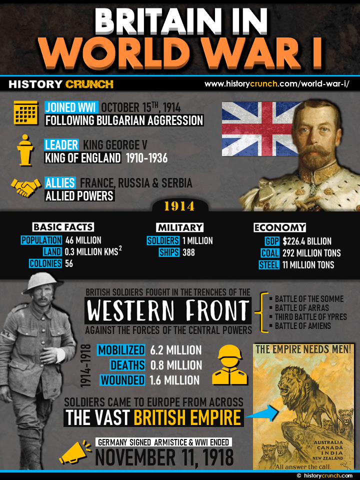 World War I Infographic