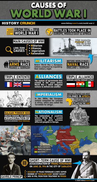 Causes of World War I Infographic