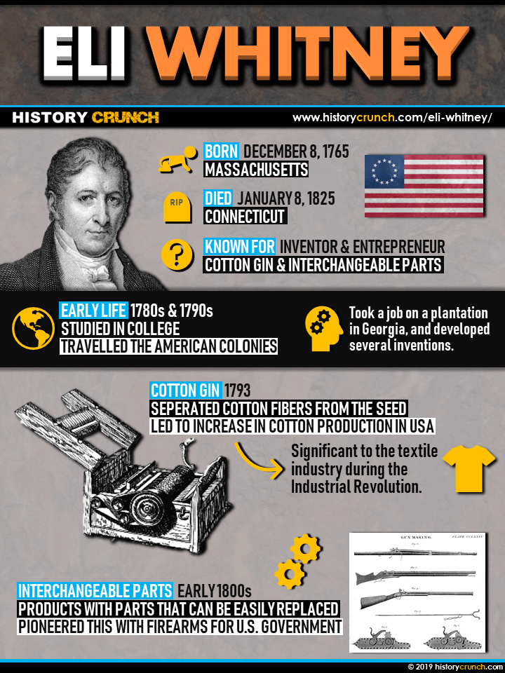 Eli Whitney Infographic