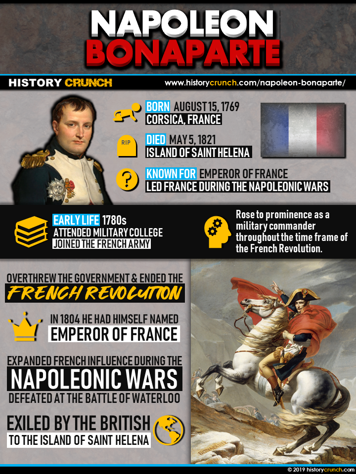 Napoleon Bonaparte Infographic
