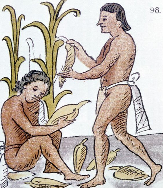 Aztec Farmers