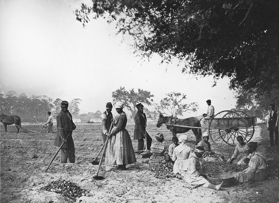 Slave Life in the United States